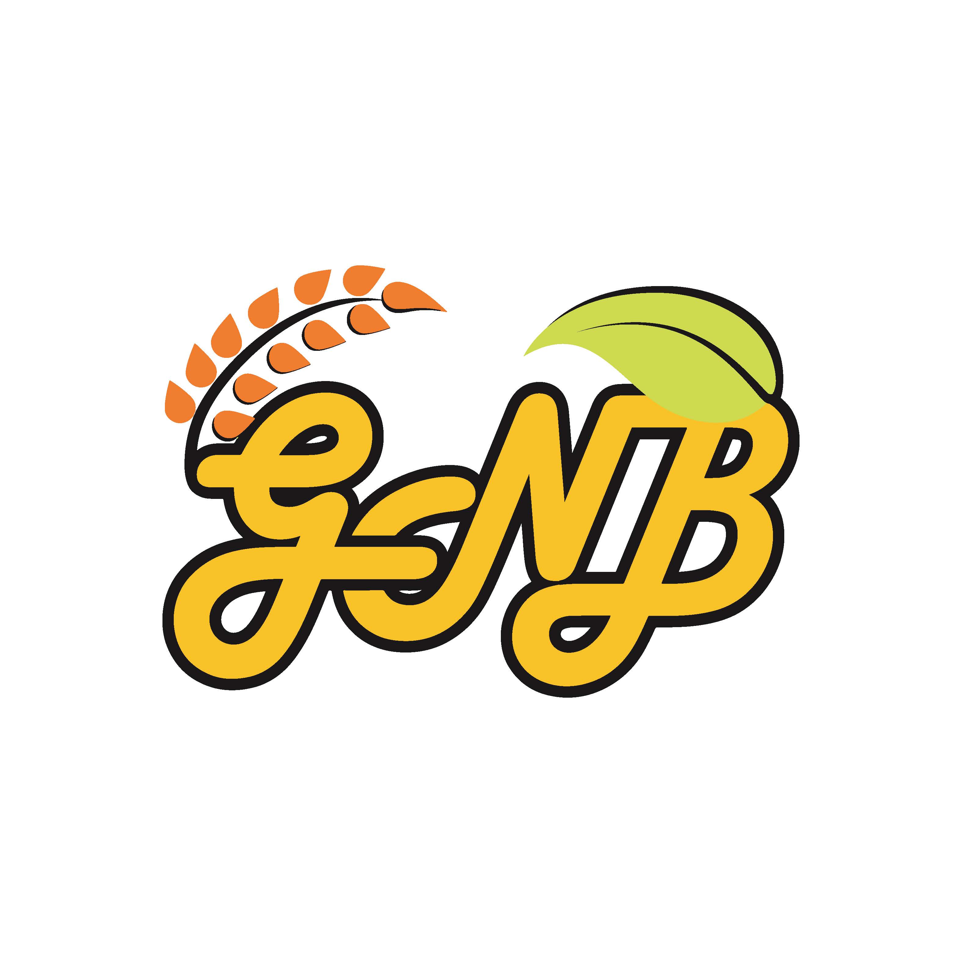 GNB LOGO